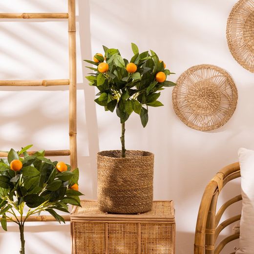 Set di 4 cestini in canna