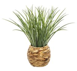 Erba artificiale in vaso di fibra, altezza 49 cm