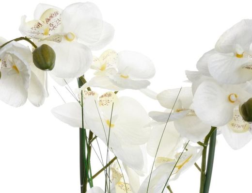 Orchidea artificiale in vaso di ceramica, bianca, altezza 53 cm
