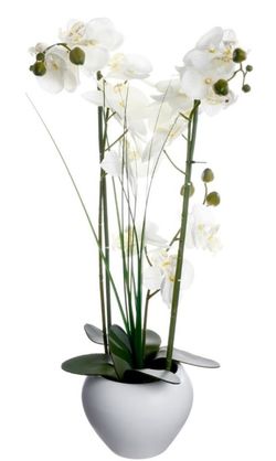 Orchidea artificiale in vaso di ceramica, bianca, altezza 53 cm